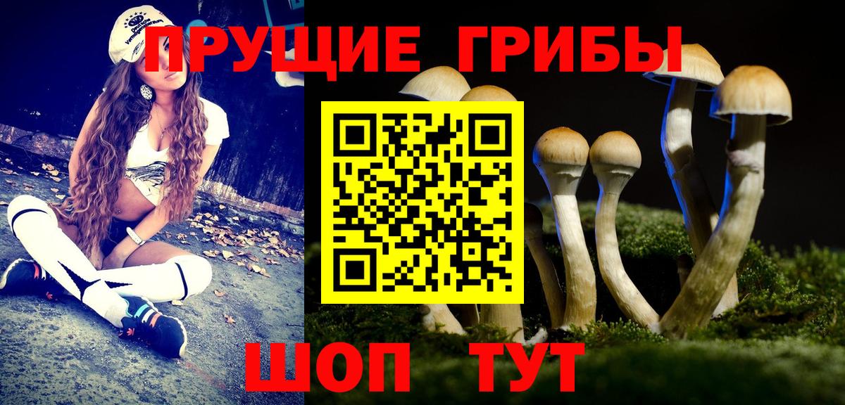 Коряжма  купить наркотик  Вход с VPN  Псилоцибиновые грибы Magic Shrooms 
